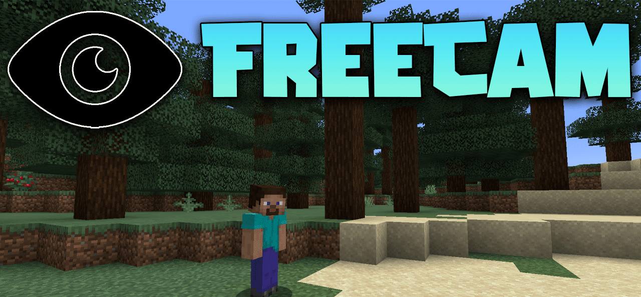 Cómo descargar Freecam Stick 1.21